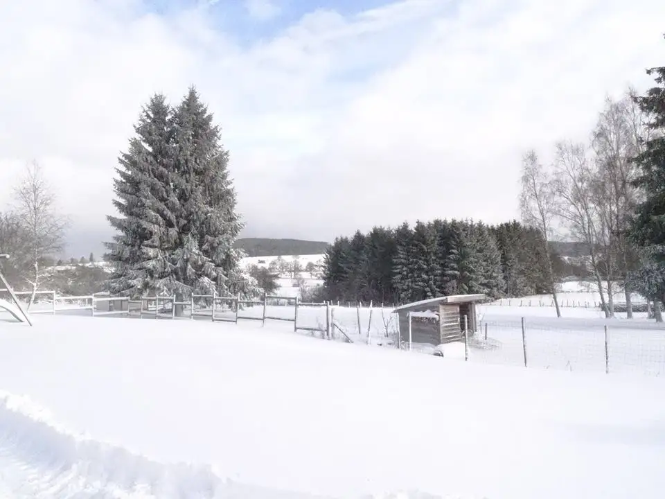 Gîte pour 12 personnes à Lierneux Cottage du Coticule